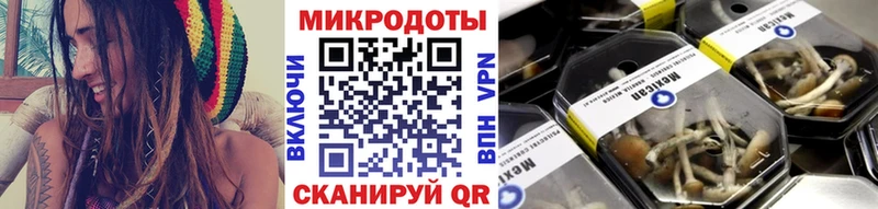 Псилоцибиновые грибы Psilocybe  Купить  Ермолино 